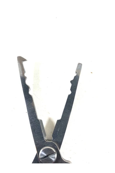 Discover Balıkçı Pensesi - 2