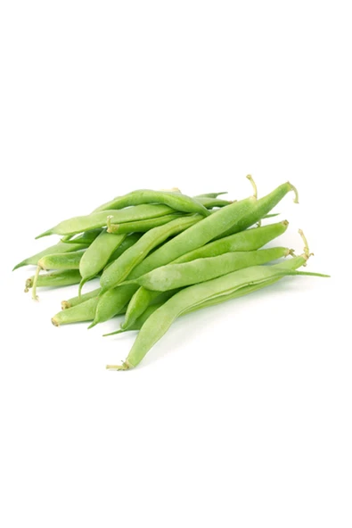 Fasulye Ayşe x4 Adet ürün görseli 1