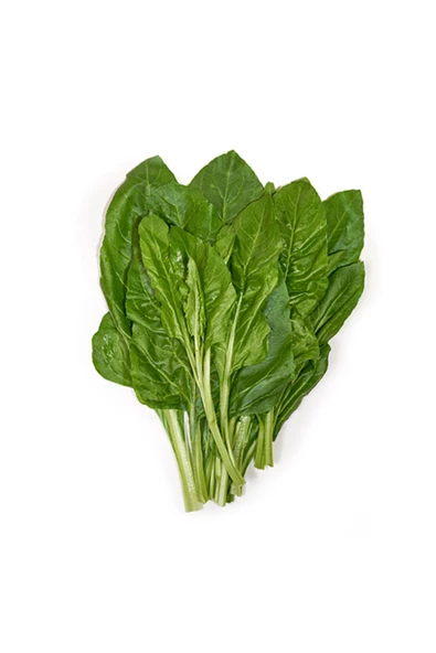 Pazı Demet x12 Adet ürün görseli 1