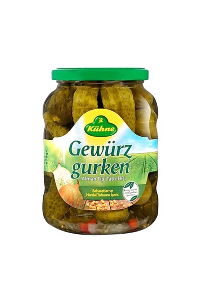 Alman Tipi Salatalık Turşusu (670 g) x6 Adet ürün görseli 1