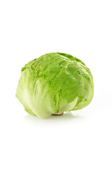 Organik Göbek Marul x8 Adet ürün görseli 1