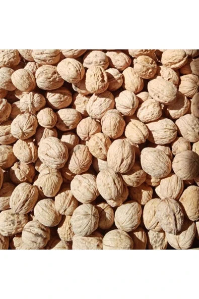 Yerli Kabuklu Ceviz - 4 Kg ürün görseli 1