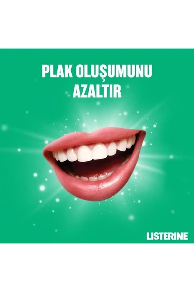 Listerine Teeth & Gum Defence Milder Taste 500 ml - 7