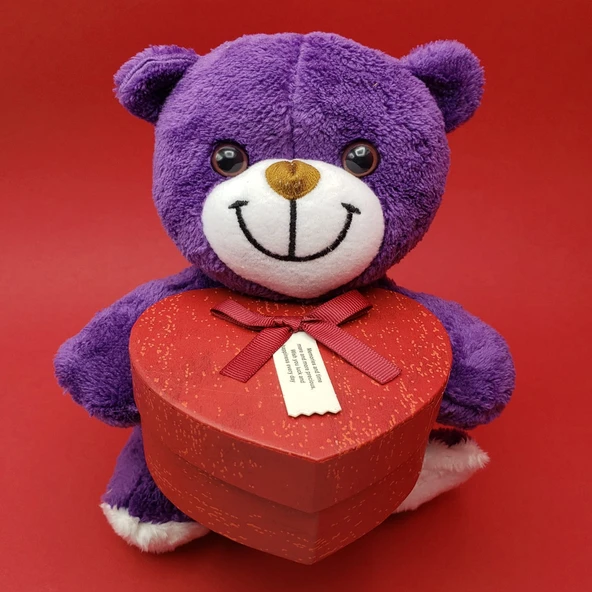 Sevimli Kalp Kutulu Peluş Ayıcık Tg-53-vice/(1395) 660 - Resim 2