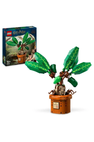 ® Harry Potter™ Adamotu 76433 - 10 Yaş ve Üzeri Yapım Seti (579 Parça)