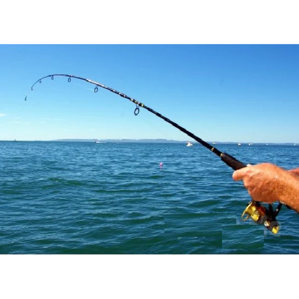 Misina 300m Polietilen Microfiber 2.0 Ip Misina Yeşil - Resim 3