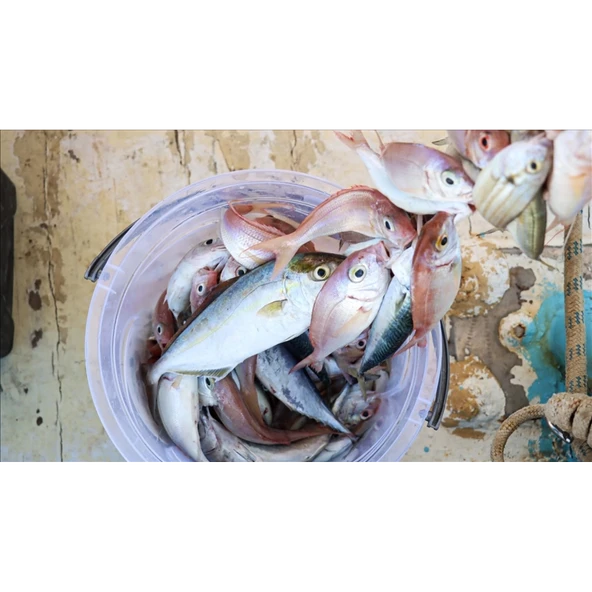 Misina 300m Polietilen Microfiber 2.0 Ip Misina Yeşil - Resim 2