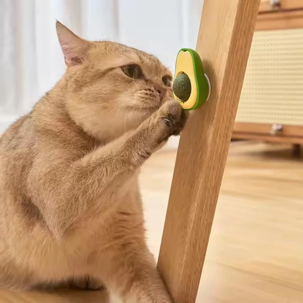 Doğal Kedi Nanesi Avokado Oyuncak 360° Döner Catnip & Kedi Çimi - 4