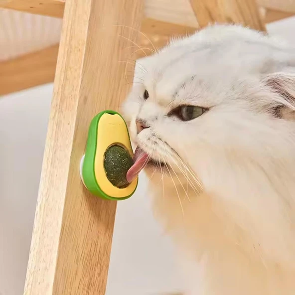 Doğal Kedi Nanesi Avokado Oyuncak 360° Döner Catnip & Kedi Çimi - 3