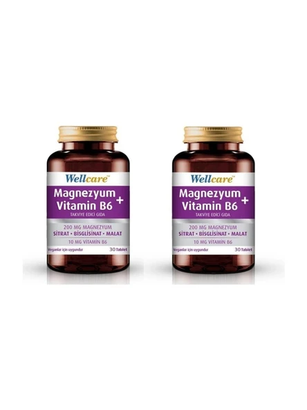 Wellcare Magnezyum + Vitamin B6 30 Tablet 2'li
