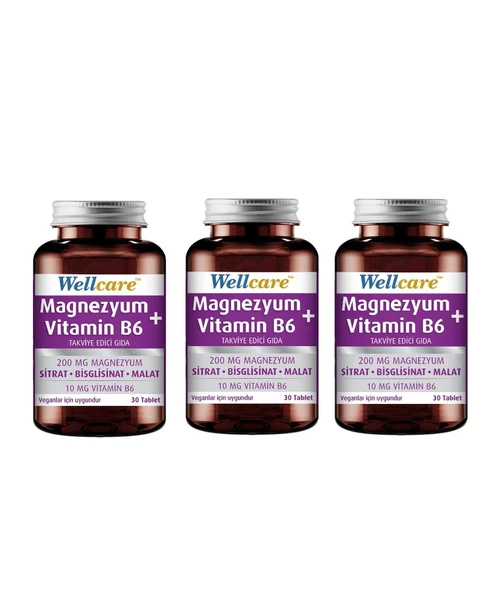 Wellcare Magnezyum + Vitamin B6 30 Tablet 3'lü ürün görseli