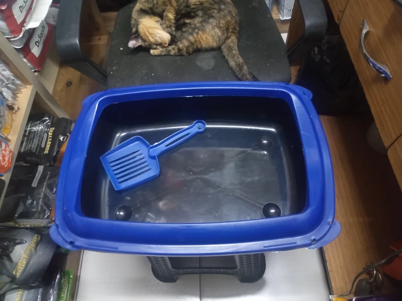 Kedi Açık Tuvalet Kürek Hediyeli