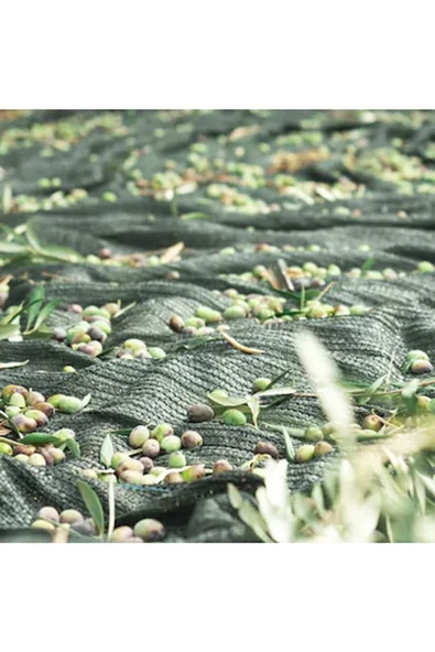 Özçiğdem Zeytin Toplama Filesi Örtüsü Sergisi 6x9
