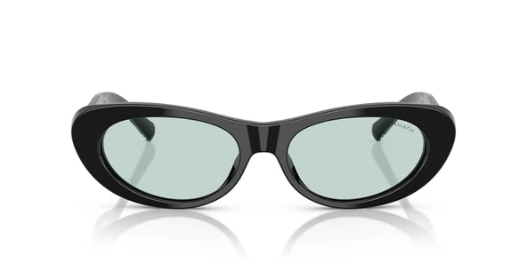 Tiffany TF4236U 8001D9 55 Kadın Güneş Gözlüğü - 4
