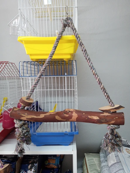 Büyük Boy Papağan Salıncak 40 CM