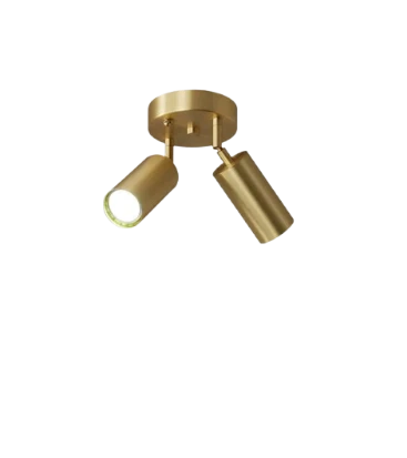 Rsylight Retro Eskitme Kaplama 180 Derece Hareketli Modern Spor 2 Li Led Spot Avize Beyaz Ampullü - 1