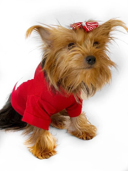 Cute Rudolph Köpek Tişörtü Noel - 3