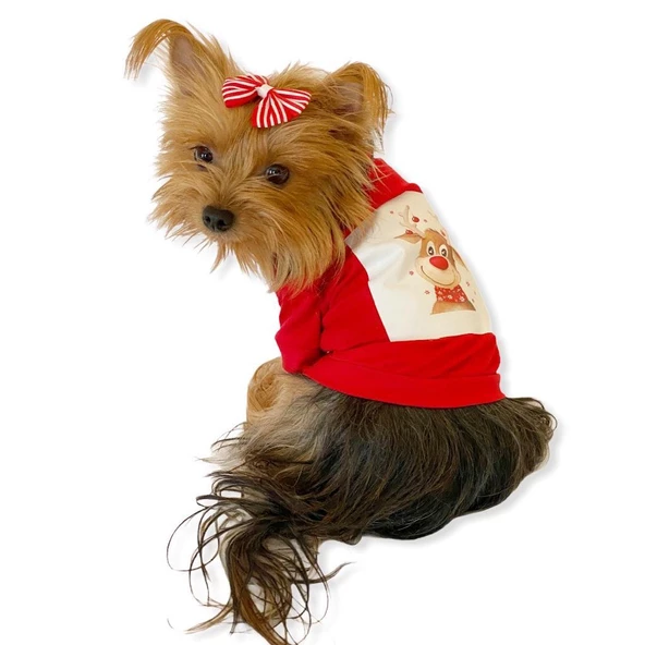 Cute Rudolph Köpek Tişörtü Noel - 2