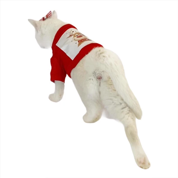 Cute Rudolph Kedi Tişörtü Noel - 6