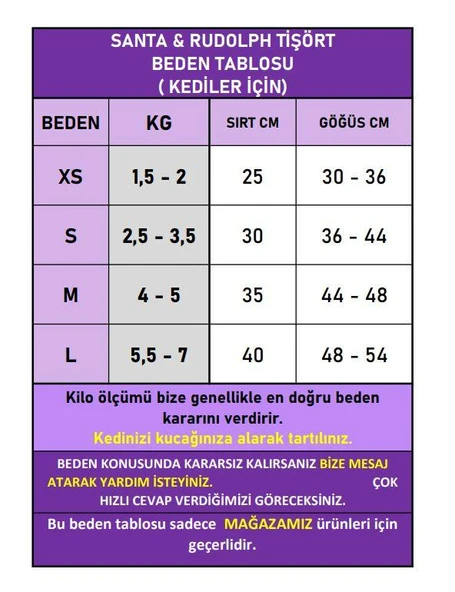 Noel Baba Ve Rudolph Kedi Tişörtü - Resim 3