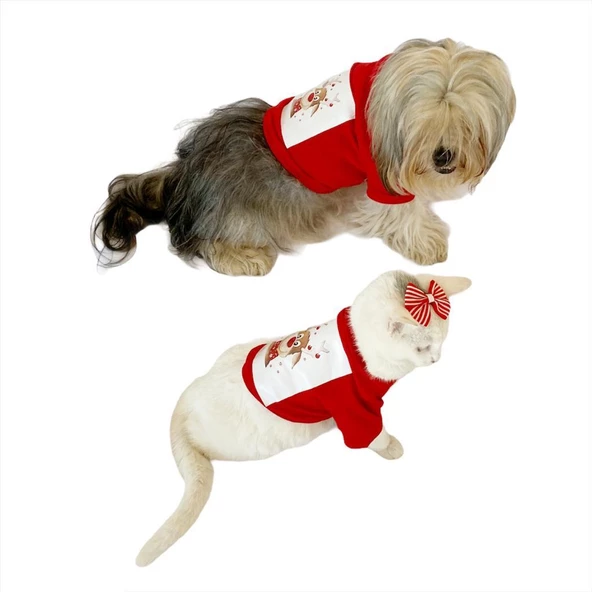 Noel Baba Ve Rudolph Kedi Tişörtü - 6