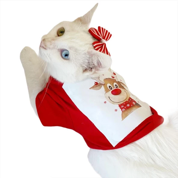 Cute Rudolph Kedi Tişörtü Noel - 5
