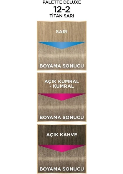 Palette Deluxe Saç Boyası 12-2 Titan Sarı - Resim 4