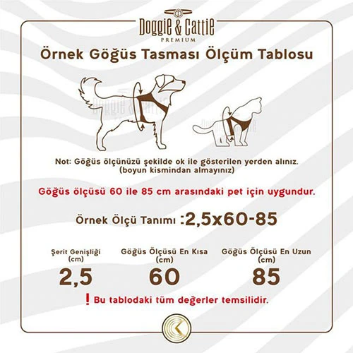 Cattie Havalı Dokuma Kedi Göğüs ve Gezdirme Tasması Large Kırmızı 1,5x-30-40 Cm - 3