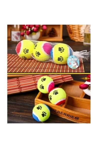 Mucit Home Evcil Hayvan Eğitim Topu 1 Lü Set - 3