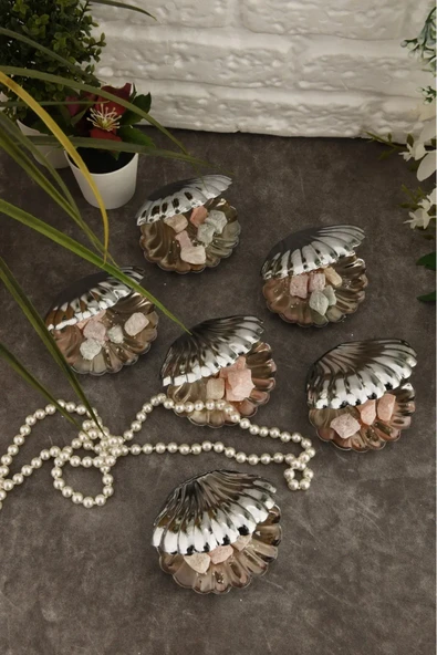 Brano 6 Lı Kahve Yanı Istiridye Lokumluk - 2