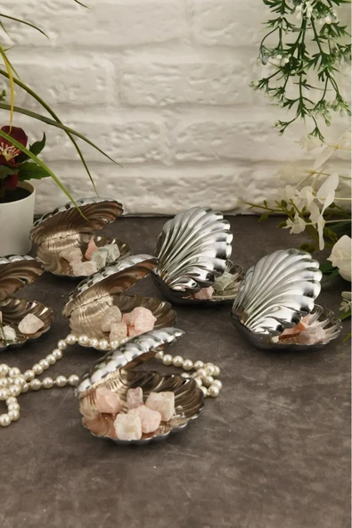 Brano 6 Lı Kahve Yanı Istiridye Lokumluk - 8