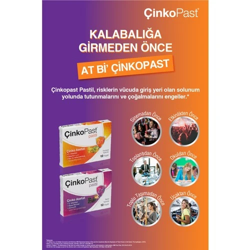 Çinkopast Nane Zencefil Kara Mürver Pastil 12 li - Resim 2
