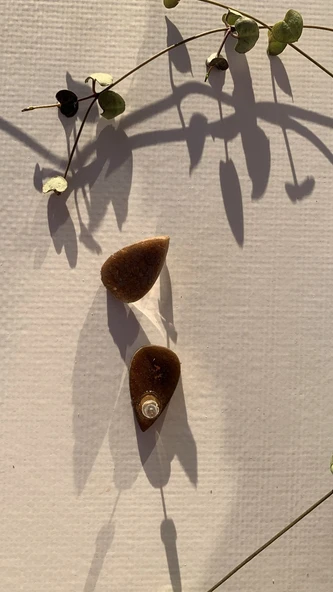 Tırtıklı Kristal Desenli Kahverengi Damla Şekil Gold Aksesuar Orta Boy Epoksi Küpe El Yapımı - Resim 7