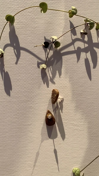 Tırtıklı Kristal Desenli Kahverengi Gold Aksesuar Küçük Boy Damla Epoksi Küpe El Yapımı Hediyelik - Resim 3