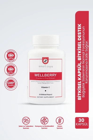 Wellberry Cranberry 30 Kapsül