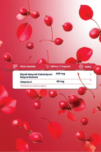 Wellberry Cranberry 30 Kapsül - 2