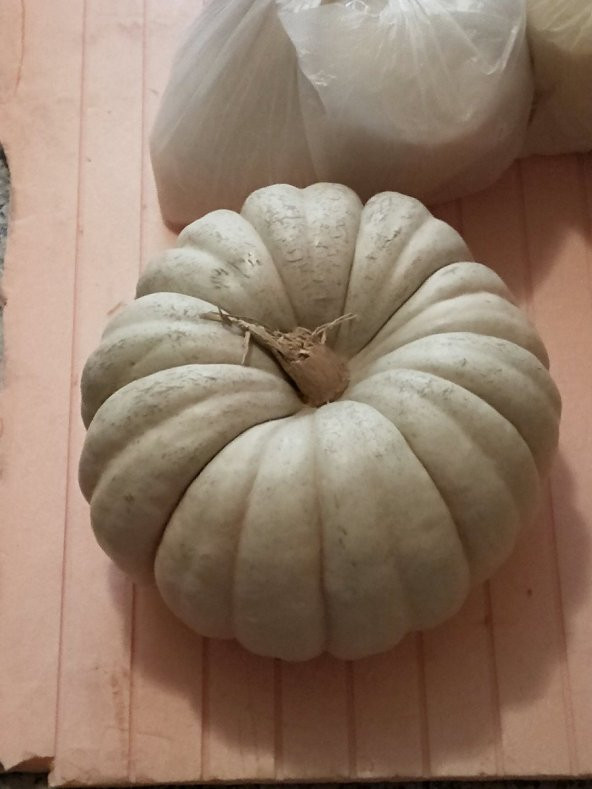 Doğal Kışlık Balkabağı 20 Ad. Tohum