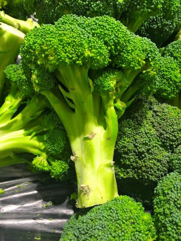 İthal Yüksek Verimli Brokoli Tohumu 100 Ad. Tohum