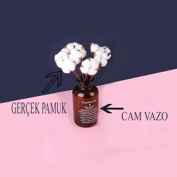 Cam Vazolu Pamuk Çiçek Dekor Amber Renk Gerçek Pamuk Kozalı Scandinavian - 3