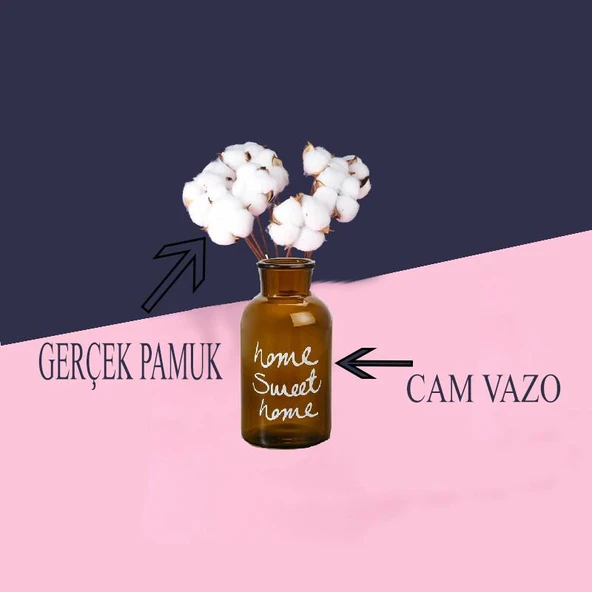 Cam Vazolu Pamuk Çiçek Dekor Amber Renk Gerçek Pamuk Kozalı - 2