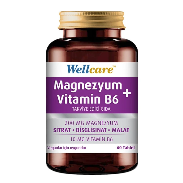Wellcare Magnezyum Vitamin B6 60 Tablet ürün görseli
