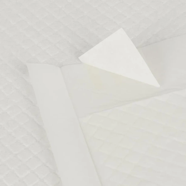 Beavis Köpek Tuvalet Eğitim Pedi 60x90 cm 24lü - Resim 3