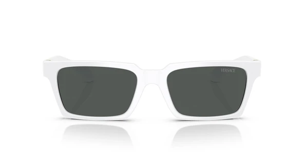 Versace VE4490U 314/87 55 Erkek Güneş Gözlüğü - 4