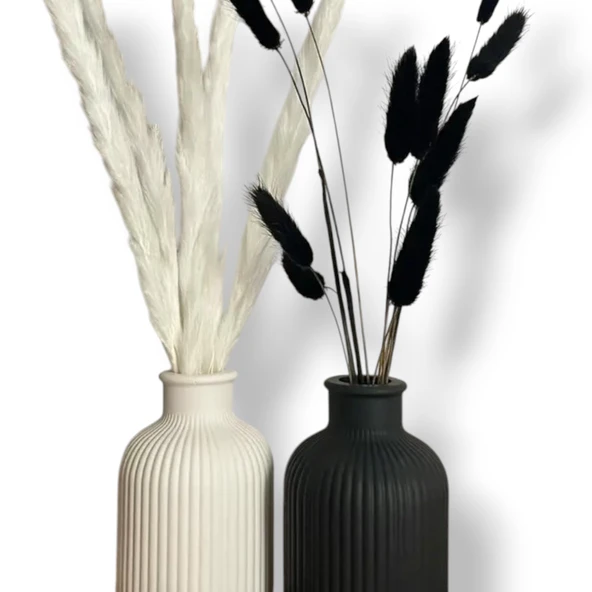 Siyah Ve Beyaz Vazo ( 2 Vazo) ürün görseli 1