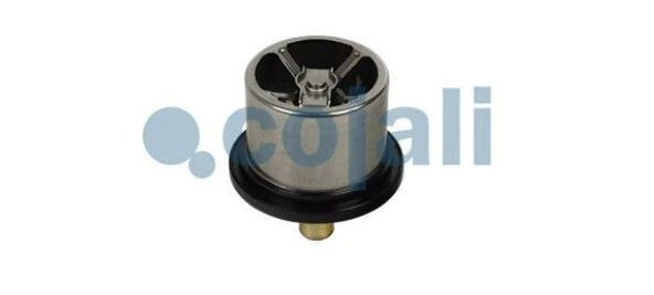 TERMOSTAT 82°C VOLVO RENAULT MAN CUMMINS 8149182 ürün görseli