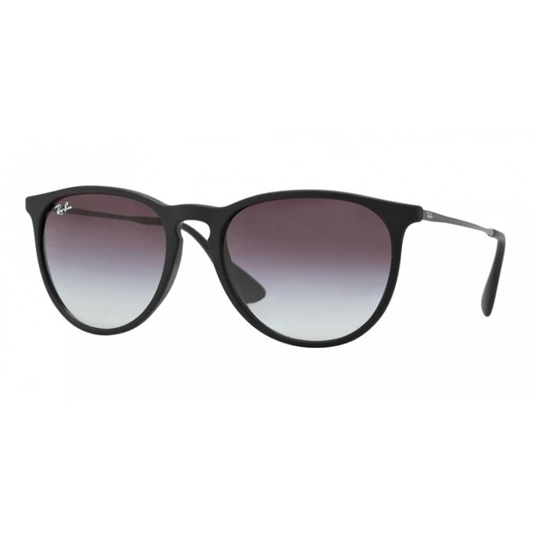 Ray-Ban Rb4171 622/8g Erika Unisex Güneş Gözlüğü