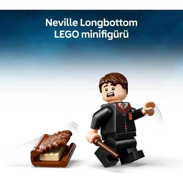 LEGO 76449  Harry Potter™ Isıran Canavar Kitap - 6