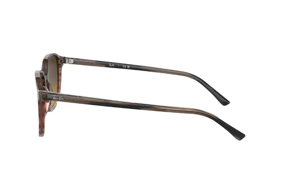 Ray-Ban 2193 138085 51 Leonard Unisex Kahve Köşeli Çerçeve Güneş Gözlüğü - 3