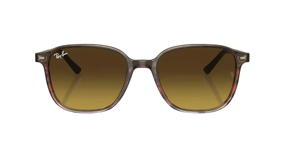 Ray-Ban 2193 138085 51 Leonard Unisex Kahve Köşeli Çerçeve Güneş Gözlüğü - 2