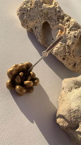 Kahverengi Gold Renk Sukulent Şekil Kağıt Tutacağı Notluk Epoksi El Yapımı Hediyelik